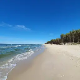 Piękna, piaszczysta plaża Ulinia z zielonym lasem sosnowym w tle i błękitnym niebem. Fale delikatnie rozbijają się o brzeg.