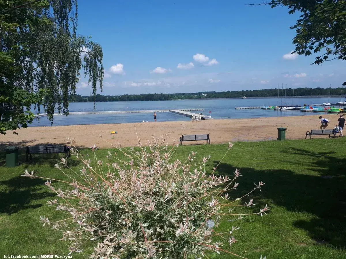 Słoneczny dzień nad jeziorem. Piękna plaża, zielona łąka i błękitne niebo tworzą idealne miejsce na wypoczynek.